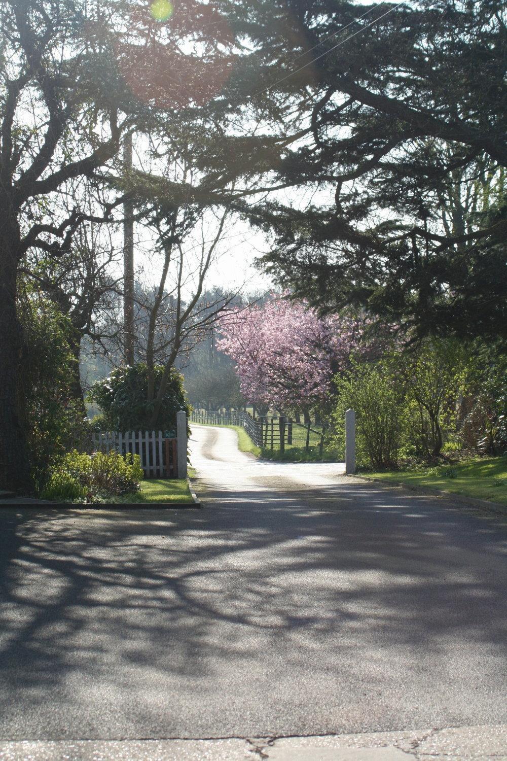 Ingon Bank Farm Bed And Breakfast Stratford-upon-Avon Bagian luar foto